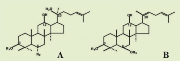 Figure 1. Molecular structure of Protopanaxadiol and Protopanaxatriol