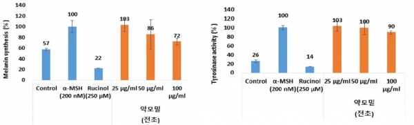 Figure 2. Whitening Effect of Houttuynia cordata Extract