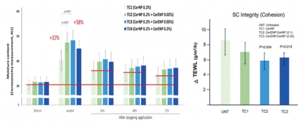 Figure 2. Boosting Effect of EcoCeramide ENP. (CerNP is HP-Ecoceramide LCS and CerENP is EcoCeramide ENP)